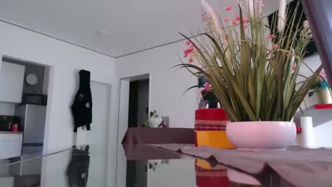 Snapshot of didiegal1 chatting on 04.02.26 squirtcock online show from 04.02.26