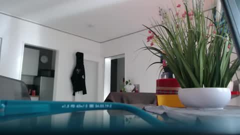 Snapshot of didiegal1 chatting on 04.05.26 squirtcock online show from 04.05.26