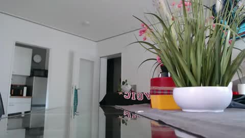 Snapshot of didiegal1 chatting on 05.17.26 squirtcock online show from 05.17.26