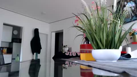 Snapshot of didiegal1 chatting on 05.31.26 squirtcock online show from 05.31.26