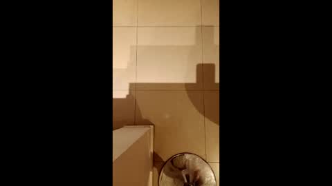 Diego online show from 02.21.26