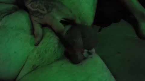 Snapshot of dikkdixon chatting on 02.28.26 dikkdixon online show from 02.28.26