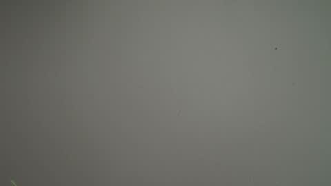 Dilan Coy online show from 05.10.26