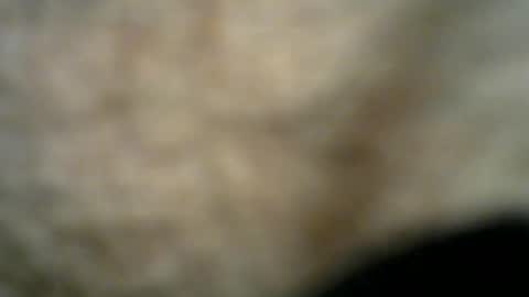 Snapshot of dilaradagci chatting on 07.26.26 Bob online show from 07.26.26