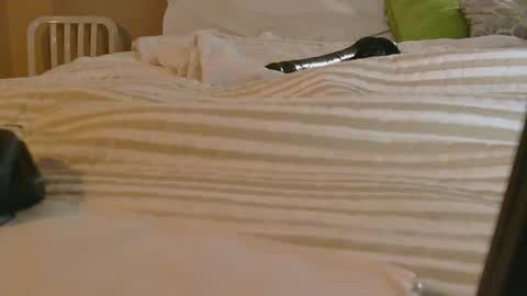 Snapshot of dildosnme22 chatting on 02.09.26 dildosnme22 online show from 02.09.26