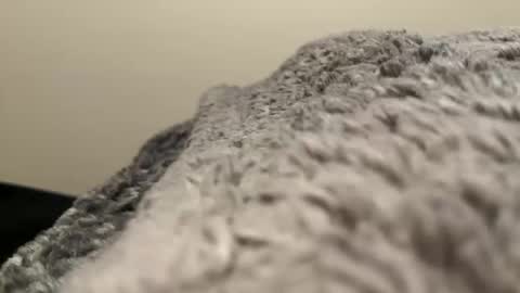 Snapshot of dino202310 chatting on 10.29.25 dino202310 online show from 10.29.25