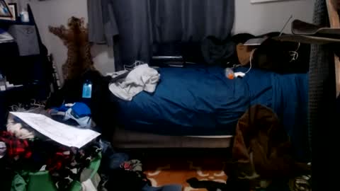 dinodick4uall online show from 01.06.25