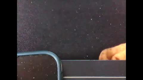 diogominer2 online show from 11.24.25