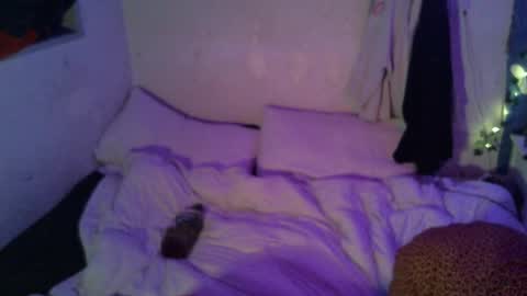 Snapshot of dipptripper chatting on 04.16.26 Thomas OMalley online show from 04.16.26