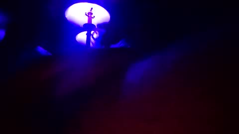 DIPSTIK online show from 04.15.26