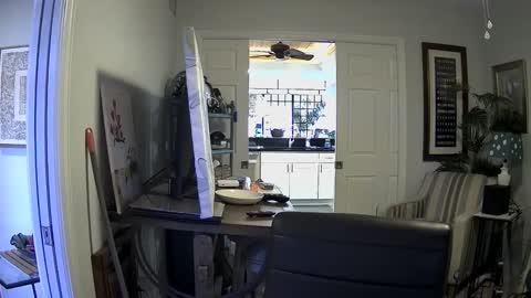 DirtkPitt Fun guy working online show from 01.03.25