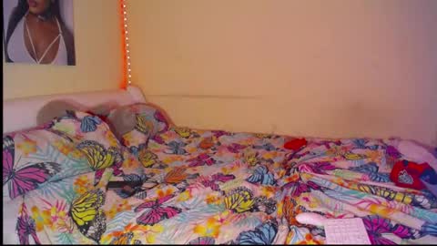 paradise online show from 03.21.26