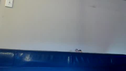 Snapshot of dirtydaisy1998 chatting on 11.14.25 Daisy Wylde online show from 11.14.25