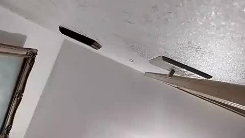 dixonbird41 online show from 02.11.25