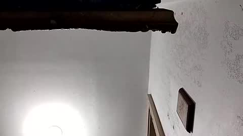 dixonbird41 online show from 02.18.25