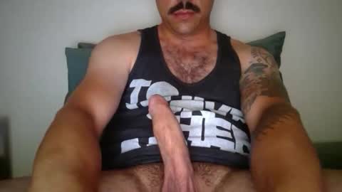 dk420mwa online show from 02.09.26