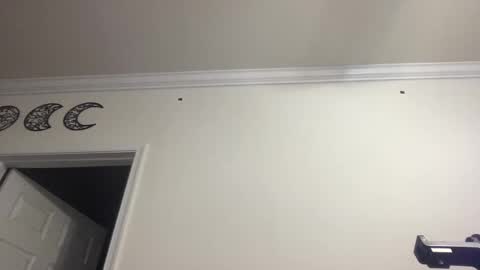 Snapshot of dlasian98 chatting on 01.28.25 DL Asian Sissy online show from 01.28.25