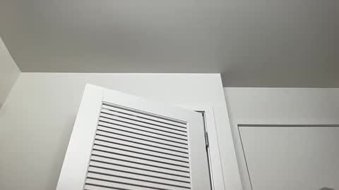 Snapshot of dlasian98 chatting on 02.20.25 DL Asian Sissy online show from 02.20.25