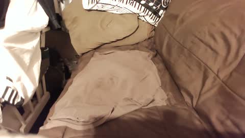 do4you2 online show from 01.18.25