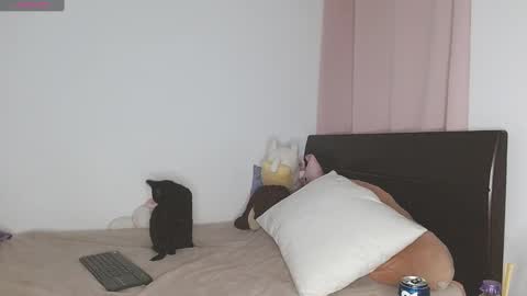 Snapshot of doll_and_sex chatting on 01.16.25 Auro and Santiago online show from 01.16.25