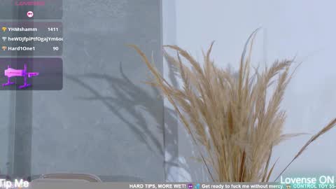 dolly_brownc online show from 02.08.26