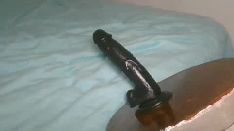 Alzest online show from 02.22.26