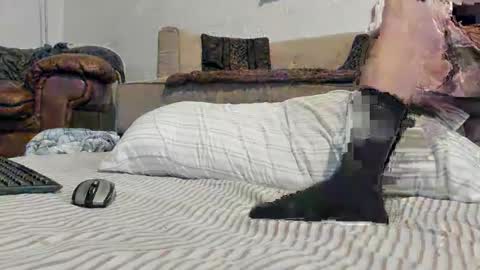 Snapshot of domsxyqte chatting on 01.17.25 Rick online show from 01.17.25