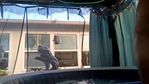 Snapshot of doobie1717 chatting on 09.28.25 doobie1717 online show from 09.28.25