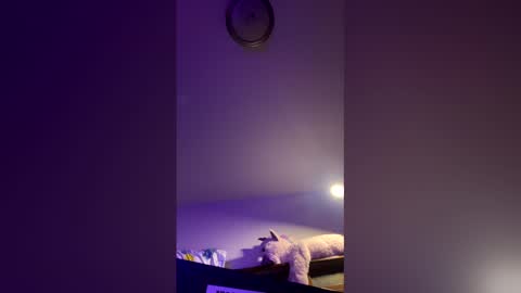 doodlez224472 online show from 04.16.26