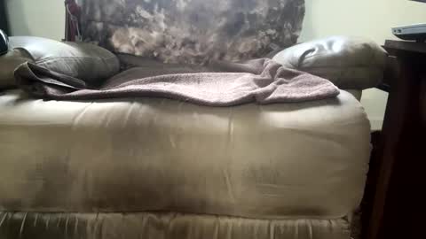 dotcom0062 online show from 11.15.25