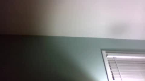 dowbo online show from 01.24.25