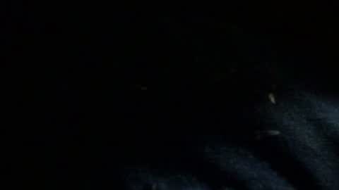 Dreadedted online show from 11.24.25