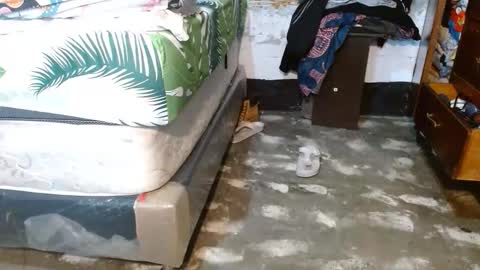 dreamreal online show from 03.18.26