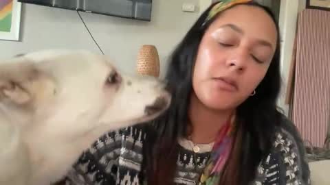 RIRI OR DREAMY online show from 02.11.26