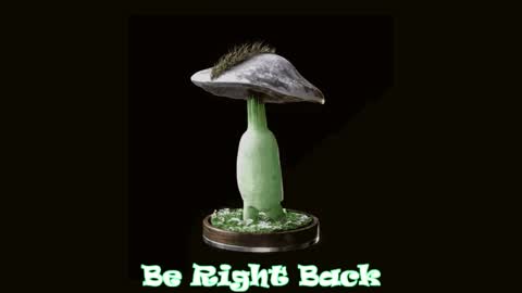 Tara  Sonny online show from 04.04.26