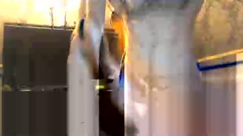 Snapshot of drippydickboy chatting on 01.13.26 drippydickboy online show from 01.13.26