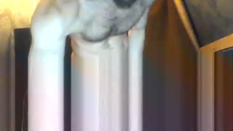 Snapshot of drippydickboy chatting on 02.05.26 drippydickboy online show from 02.05.26