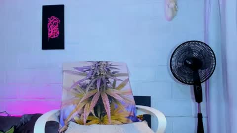 drippyorlove online show from 07.03.26