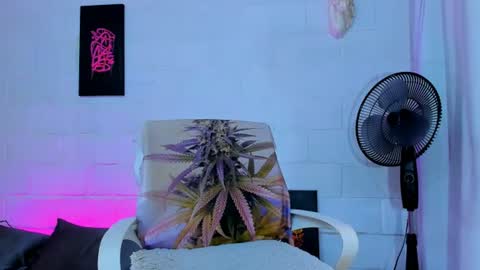 drippyorlove online show from 07.24.26