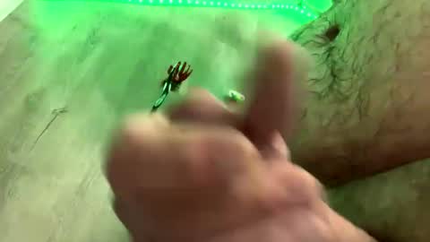 droppingloads82 online show from 01.01.25