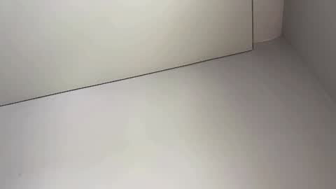 Bella online show from 02.05.25