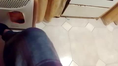 dthedog12 online show from 02.15.26