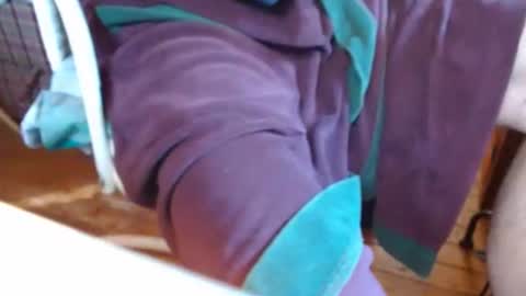 dunany101 online show from 03.07.25