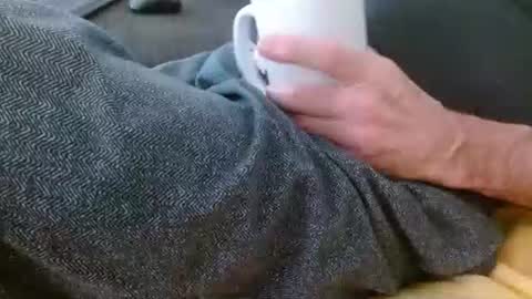 dunany101 online show from 02.03.26