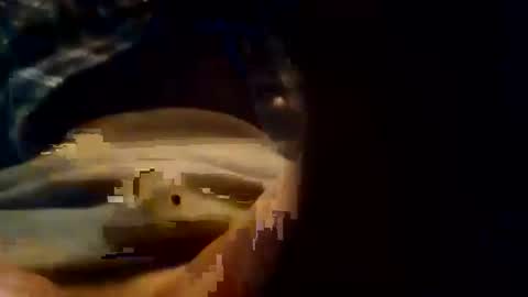 Snapshot of dusterdime chatting on 10.08.25 dusterdime online show from 10.08.25