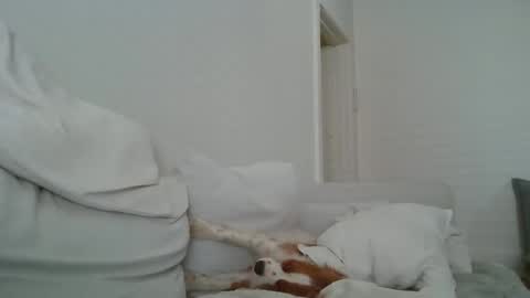 dustyroy09 online show from 02.14.25