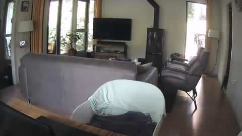 dutchsmooth online show from 09.10.25