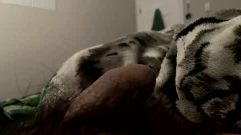 Dylan online show from 02.12.25