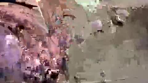 Snapshot of easye4015 chatting on 01.26.25 Easye online show from 01.26.25