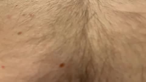 Snapshot of easyfrenchguy chatting on 04.01.26 French Guy online show from 04.01.26